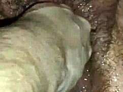 Bbw Milf Pussy Destroyed