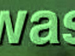 latina babe sucks dick