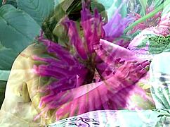 Sexy Granny Sucks Cock Then Receives Big Creampie