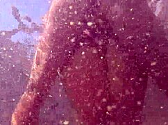 Under Water Sex With Hot Milf In Pool Adventure