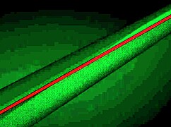 British Teen Rides Lucky Guy's Face