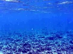 Feeling Overwhelmed By Beauty's Speech While She Shows Off That Huge Dead Dick Style Dildo