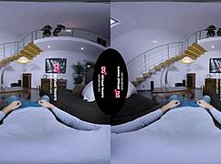 Shemale Bitches Fighting For A Cock!