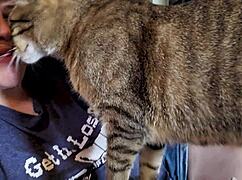 Getting Ready And Filming Giantess Video Bts Clara Crisp Milf Bbw Fetish