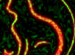 new age threesome with sluty red cat - milkingtable & sexmachine