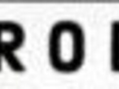 Audrey Reid Fucking My Nympho Canadian Penpal