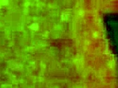 I Thought My Wife Was Cheating On Me But I Was Wrong Cuckold Hotwife