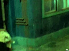 Brunett Spriccel a Mester Durva Ellenőrzése Alatt.