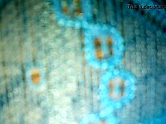 my wife's blue panties in the first part