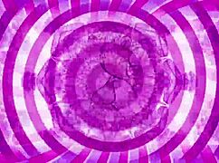 Lick it up - sissification training