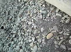 Sofi Bond Against the Sea Reading Book POV