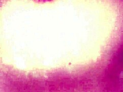 jeet and payel sharing their webcam moments as a couple