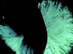 My Secret Vintage Life