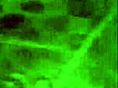 i feel so beautiful in this lingerie a fan gave me wanna see me masturbate