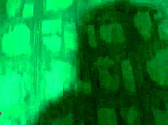 Thief Caught and Faced Consequences in Burglary Roleplay