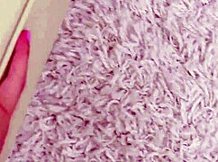 Luminous blonde beauty poses for a sexy photoshoot on the sofa