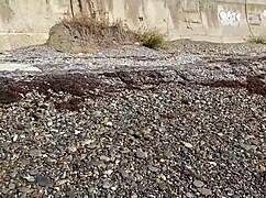 four foresters gangbang lonely widow in forest