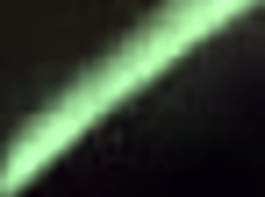 Ali Allure interacts with step brother