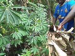 Let's have sex with a plantain in the garden.