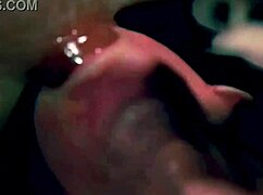 Brunette with Nice Tits Takes Massive Cumshot Load Intensely