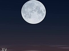 kjus thanks new years special