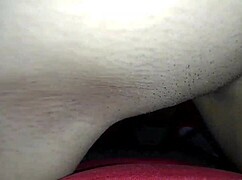 Pack Of Argentine Schoolgirls