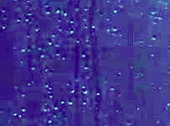 College Girl SHOWERS In Bikini