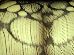 Slutty Filipina's First Anal Try In Fishnet Stockings. Risky And Exciting.