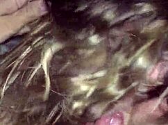 Watch the Wife Suck Another Man's Cock!