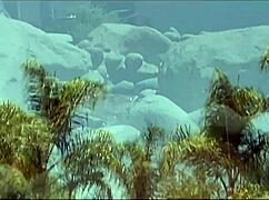 Lena rides cock outside! Facial cumshot ending!