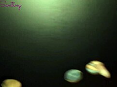 Minha esposa puta deu pra todos e eu sendo corno em casa