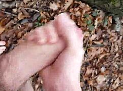 Forest Outdoor Exploration