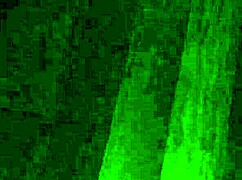 Intriguing trimmed video clip reveals unexpected twists and turns