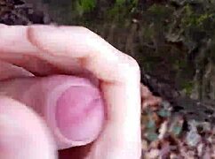 Forest Outdoor Exploration