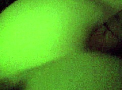 Steve and his girlfriend share a verification clip together