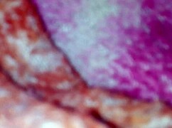 i am filming the ass of my sister-in-law in the house