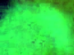 Steve and his girlfriend share a verification clip together