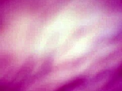 Latina bends over for black monster cock