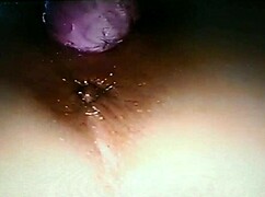 blindfolded wife gets fucked with rabbit toy