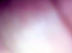 full video 33, camera out of focus, but we posted it anyway