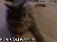 kaori-chan, the 175cm tall beauty, gets her body enjoyed by desire! world-class goddess 😍🐱