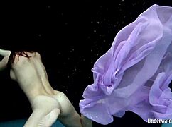 aneta purple dress pool