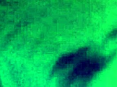 Fingering My Stepsister Pussy In The Parents Bed Sexy Moaning Clit Rubbing Orgasm Body Shaking Kissing Wet Tight Pussy