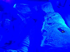 our experiment with ultraviolet light in the bedroom.