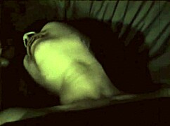 My Secret Life Vintage Lesbians