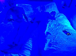 our experiment with ultraviolet light in the bedroom.