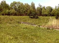 Beautiful Brunette MILF Masturbates on Wild Beach