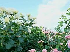 My College Friend and I Shared a Moment