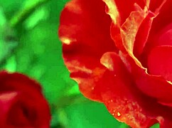 My College Friend and I Shared a Moment