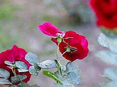 My College Friend and I Shared a Moment